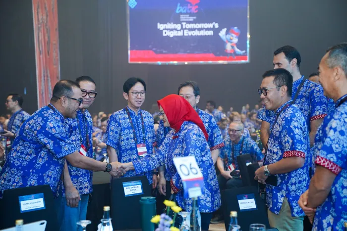 The BATIC Experience